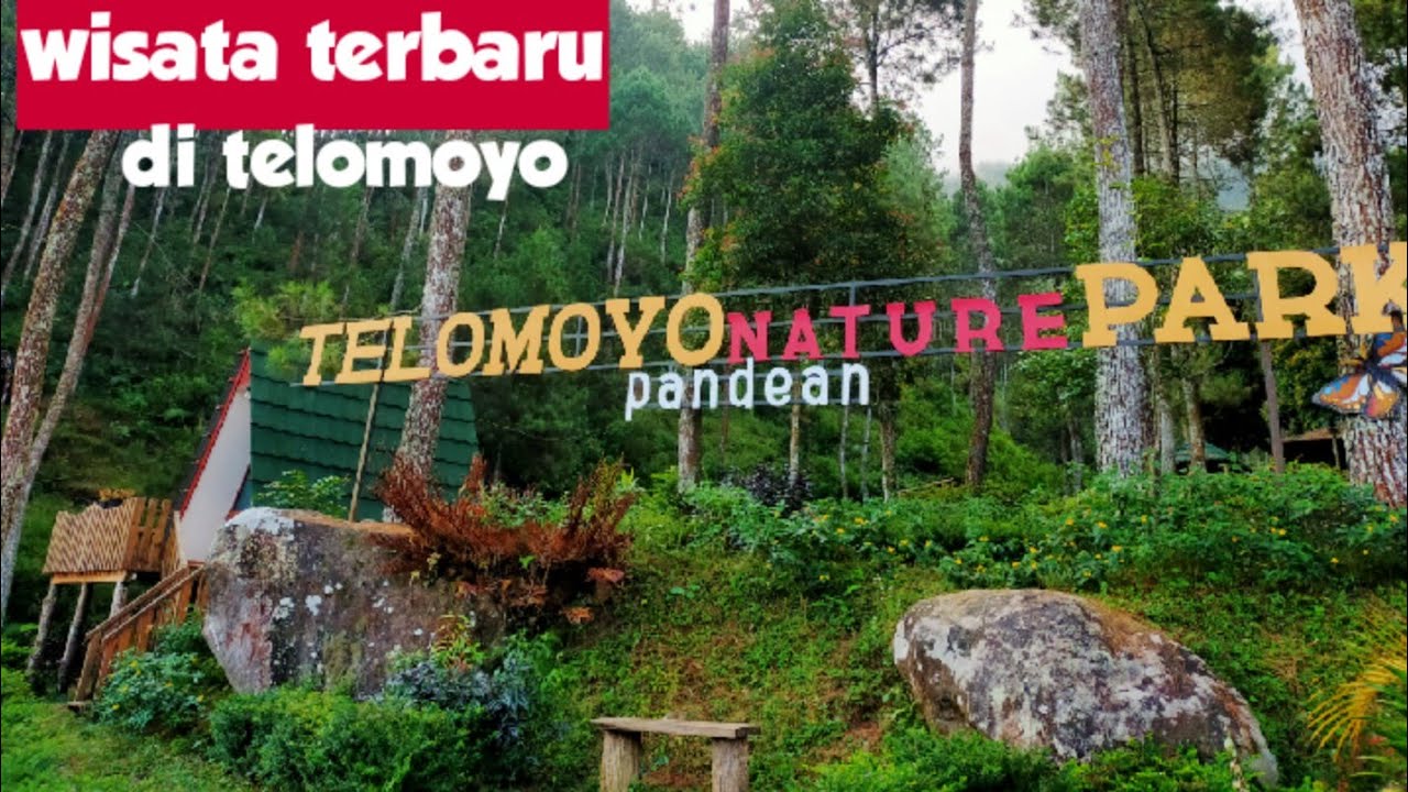 Telomoyo Nature Park: Petualangan Menakjubkan di Lereng Gunung Telomoyo